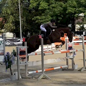 Emily Arnegger (in Bregenz) Emily Arnegger (in Bregenz)