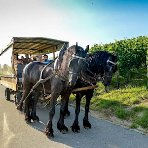 mit freundlicher Genehmigung der SZ mit freundlicher Genehmigung der SZ