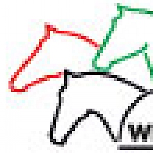 Einladung zur WPSV-Jugendwarttagung (online) am 12.02.2022 - Beginn 10:00 Uhr