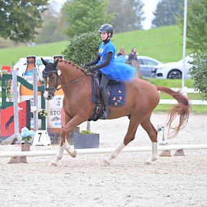 Turnierbericht Isny: Schleifenregen und Kekskrümel in der Dressur