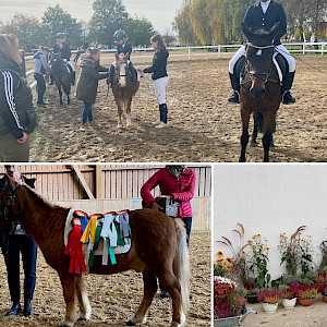 Reitertag-Bilder des RFV Ailingen e.V. online: Bildergalerie