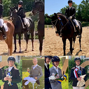 Junikäfer und der Flug ins & durchs Viereck