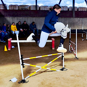 Hobby Horsing Day 2: Sky Flyers & High Flyers ... ready to rumble?!