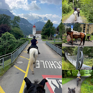 The News: Wanderreiten Alpenüberquerung - Tag 1 mit Caro & Wolfgang