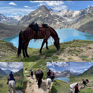 The News: Wanderreiten Alpenüberquerung - Tag 5 mit Caro & Wolfgang