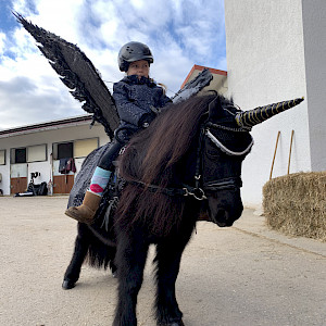 Weihnachtsreiten 2024 - soooooo schön war’s! Frohe Weihnachten