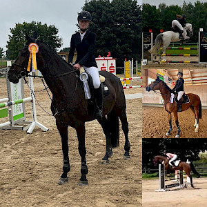 Goldregen - Biberach lädt unsere Springamazonen zum Wettbewerb