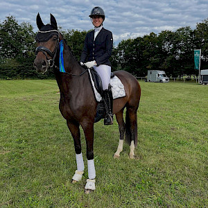Dressurtalent überzeugt in Pfullendorf: Jungpferd am Start!