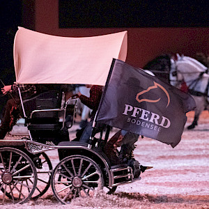 ✨ Einladung zum gemeinsamen Vereinsausflug auf die "Pferd Bodensee 2026" - Gala-Abend am 28. Februar! ✨