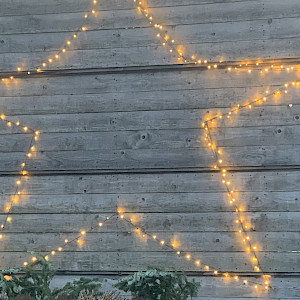 ✨✨ Frohe Weihnachten & Adventszauber Voltigieren ... Ahausen! ✨✨